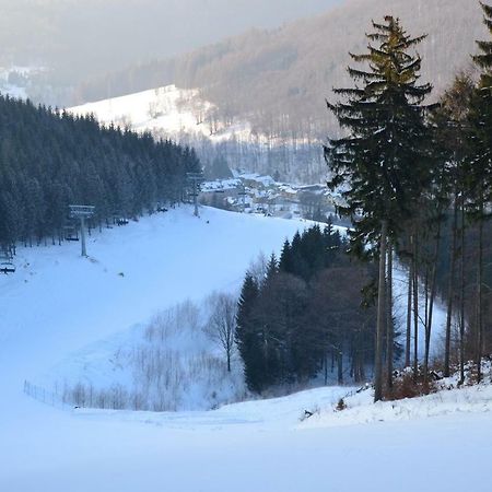 Apartman Pod Medvedi Horou Loučná nad Desnou Exterior foto
