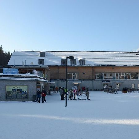 Apartman Pod Medvedi Horou Loučná nad Desnou Exterior foto