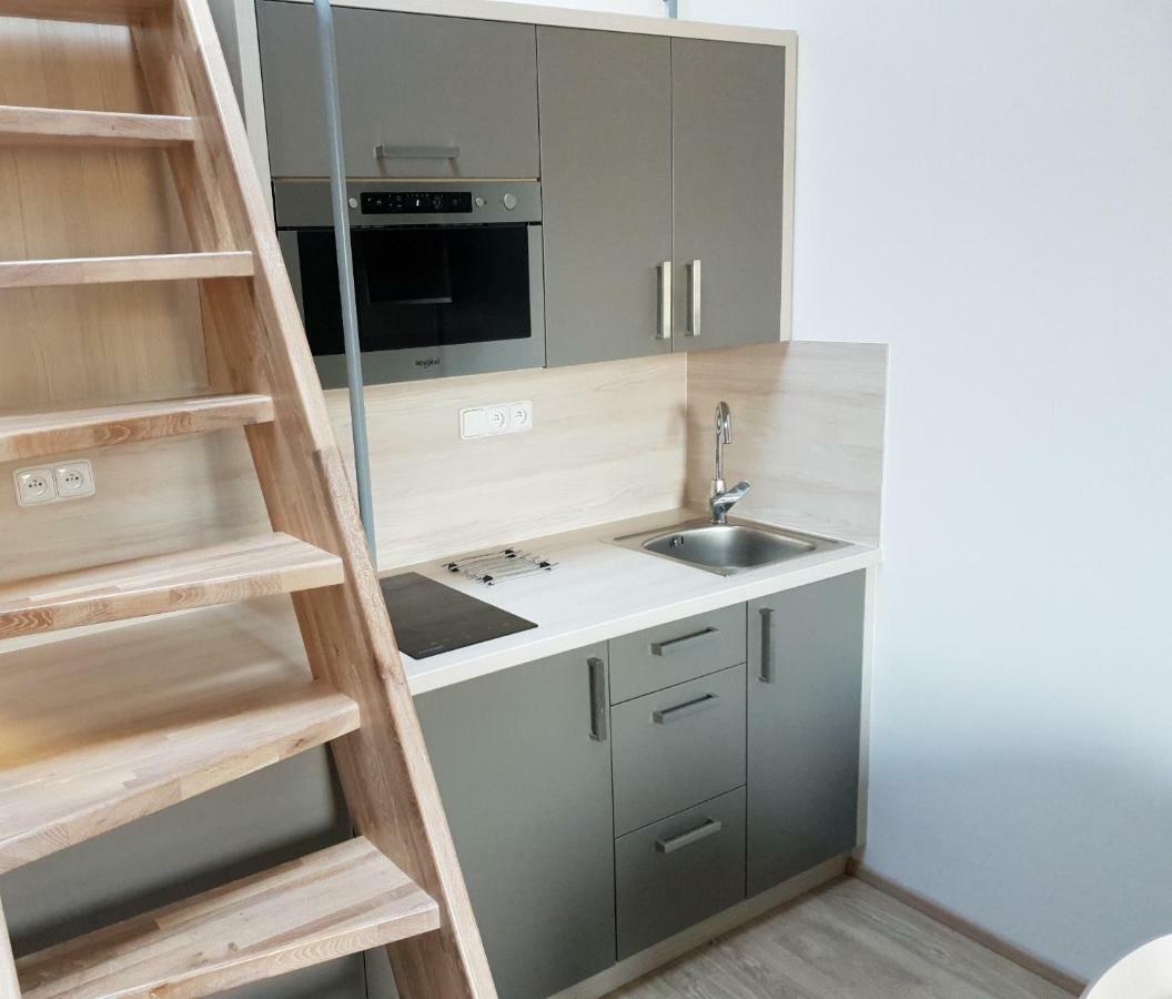 Apartman Pod Medvedi Horou Loučná nad Desnou Exterior foto
