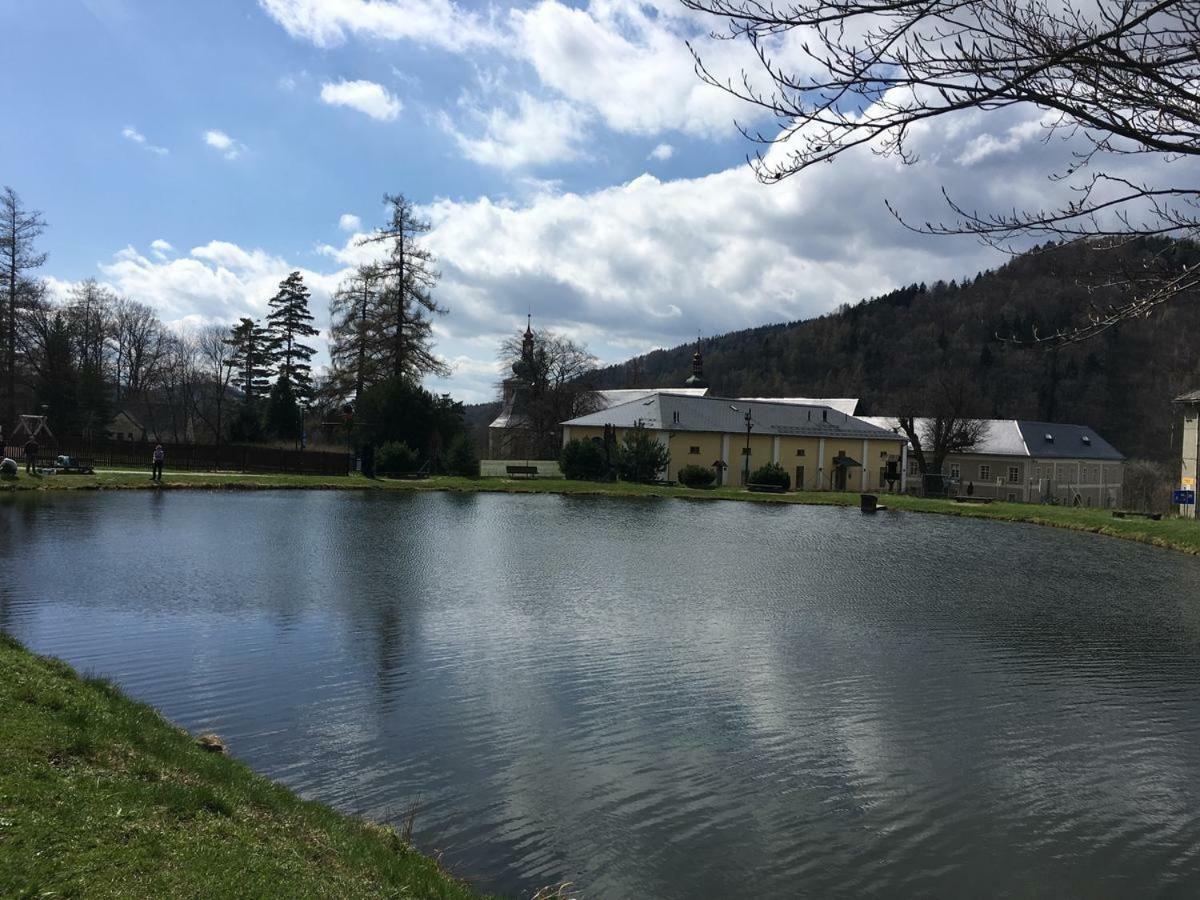 Apartman Pod Medvedi Horou Loučná nad Desnou Exterior foto