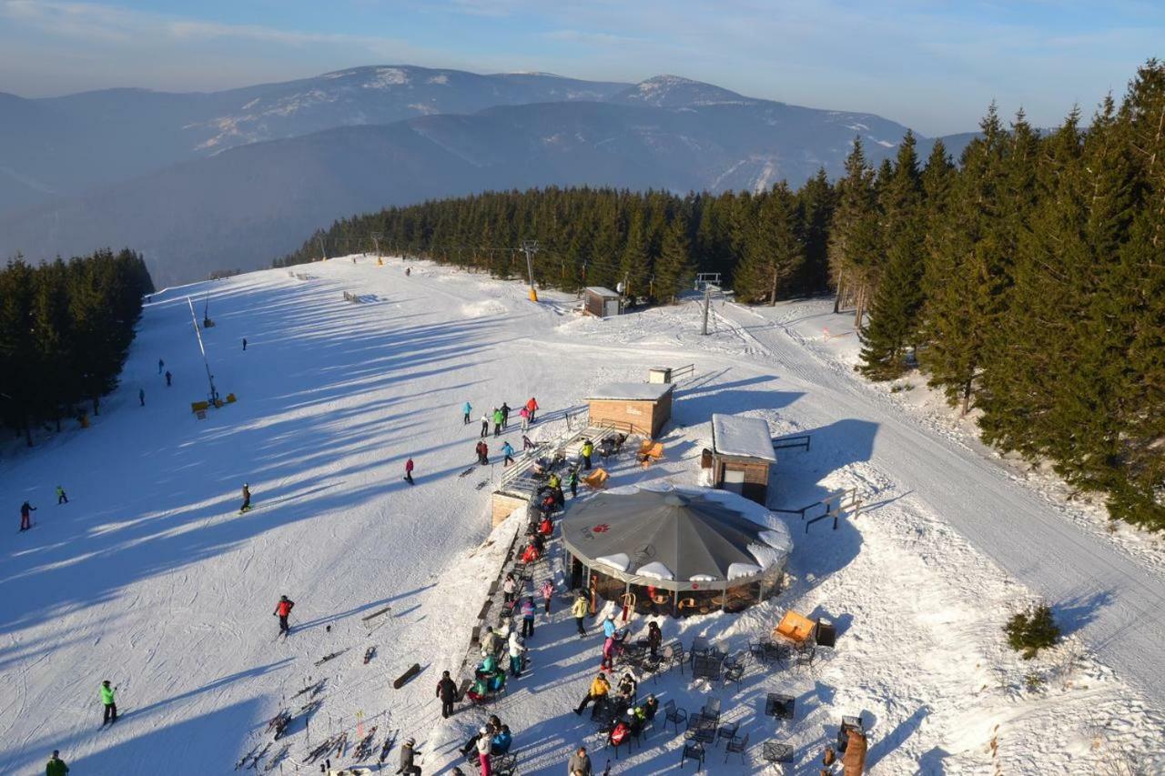 Apartman Pod Medvedi Horou Loučná nad Desnou Exterior foto